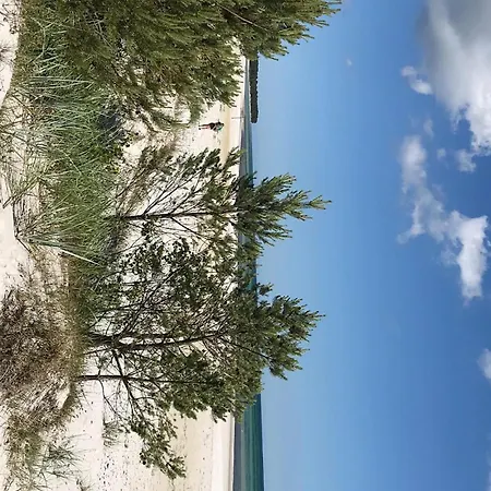 Skovlae Casa de Férias Neksø